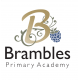 Brambles Primary Academy